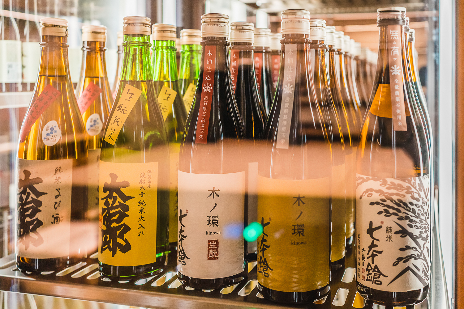 Irina-Thalhammer-Sakethek-March2025sm-19