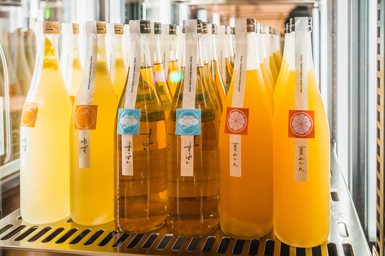 Irina-Thalhammer-Sakethek-March2025sm-20