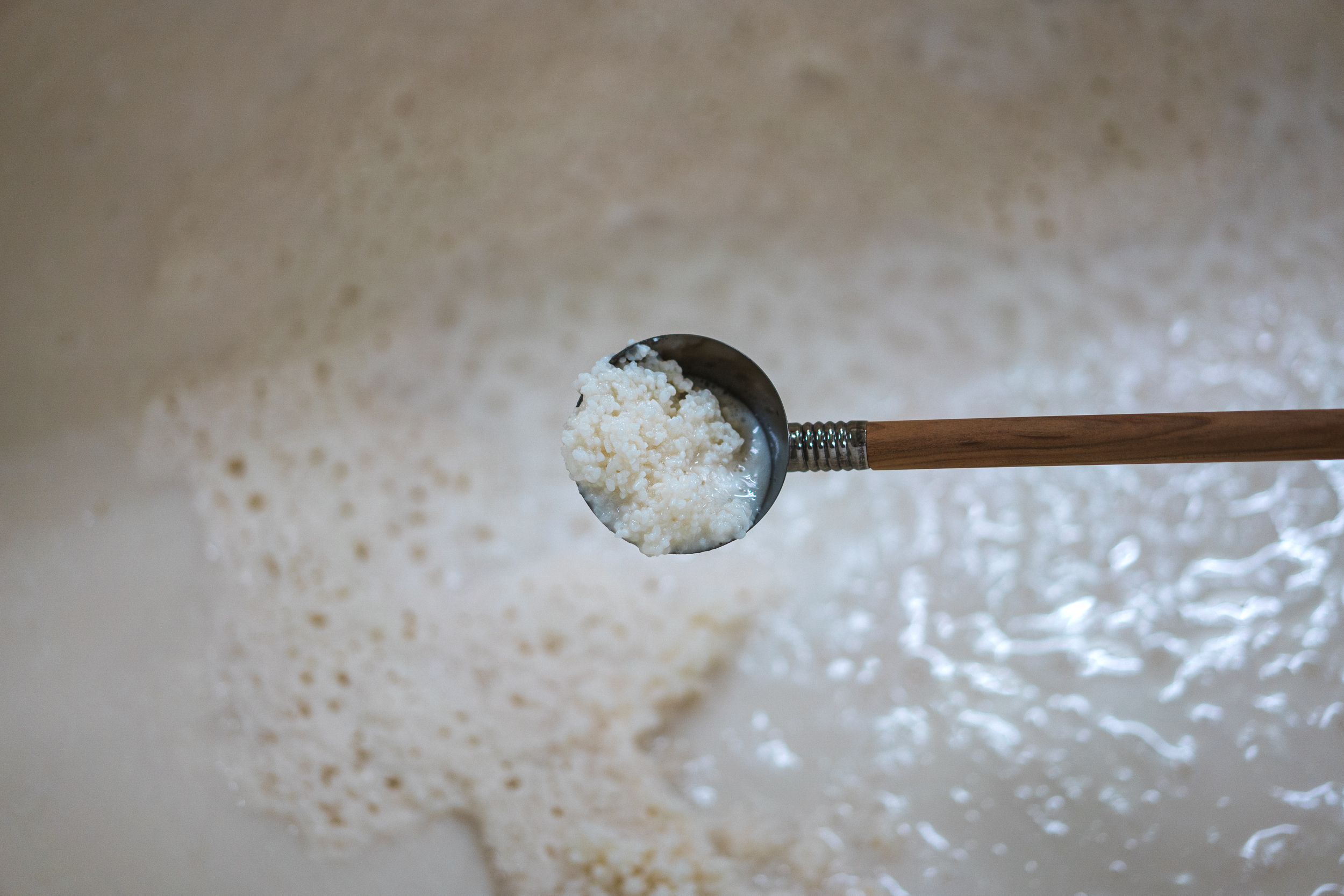 Irina-Thalhammer-Katsuyama-Sake-Sendai-sm-11