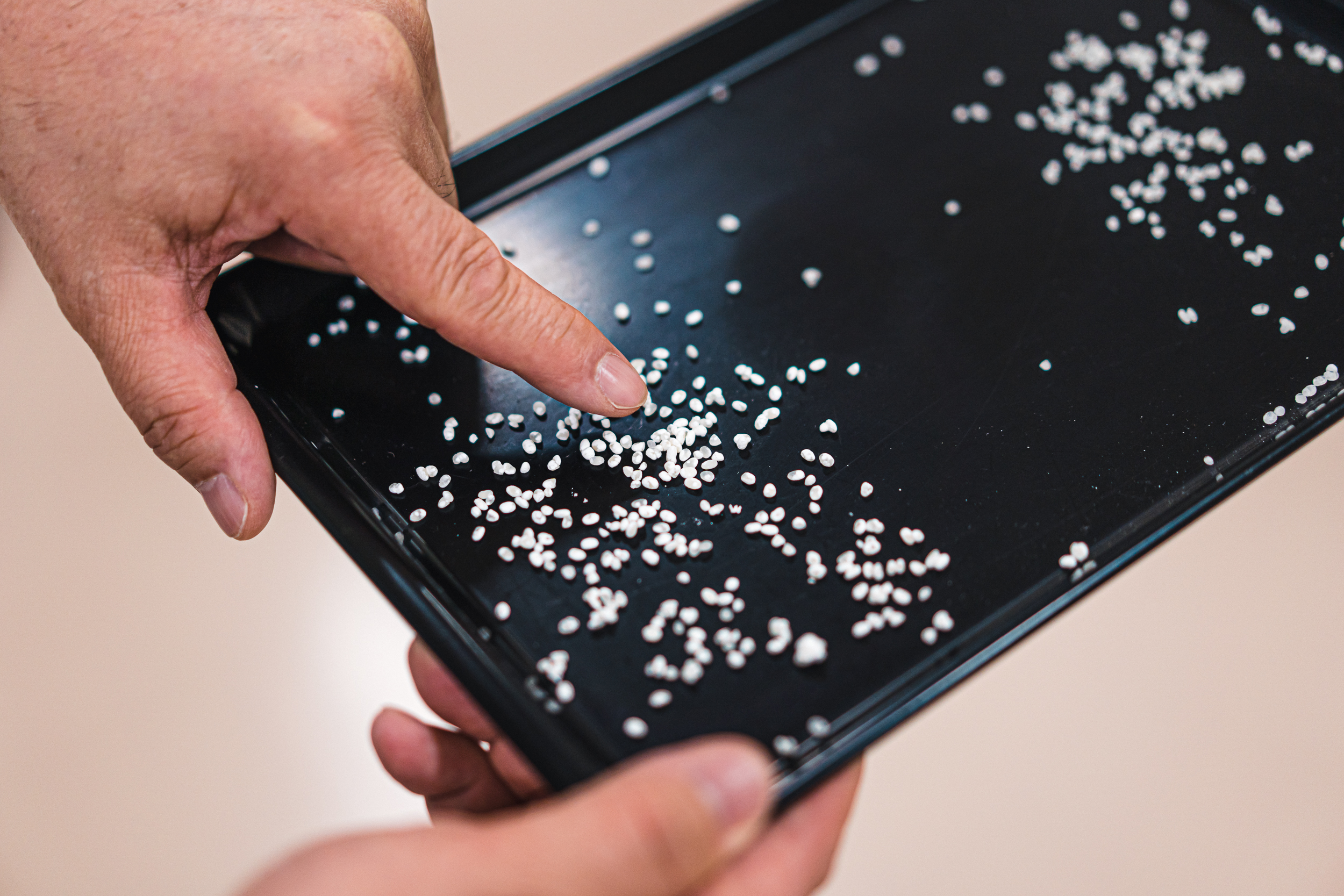 Irina-Thalhammer-Katsuyama-Sake-Sendai-sm-6