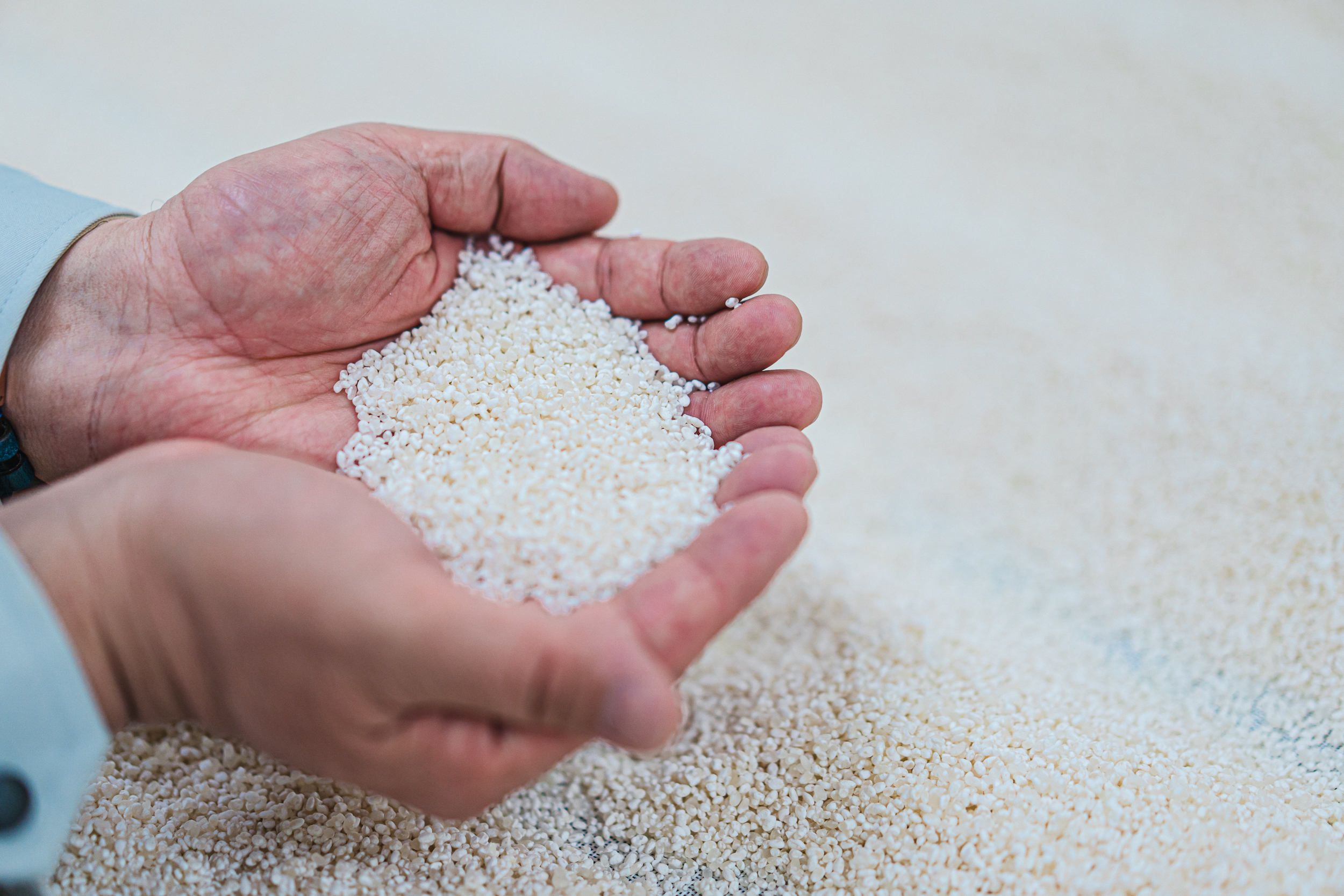 Irina-Thalhammer-Katsuyama-Sake-Sendai-sm-9